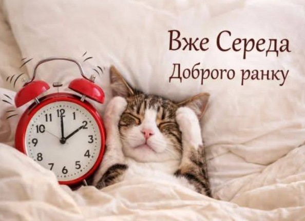 Вже середа, доброго ранку