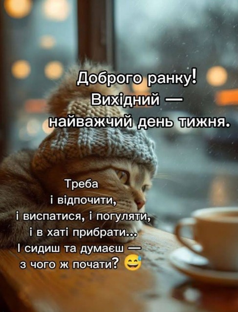 Милий кіт у в