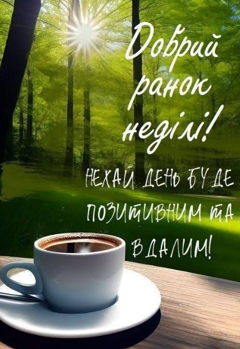 Листівка Добрий ранок неділі: кава та сонячний ліс