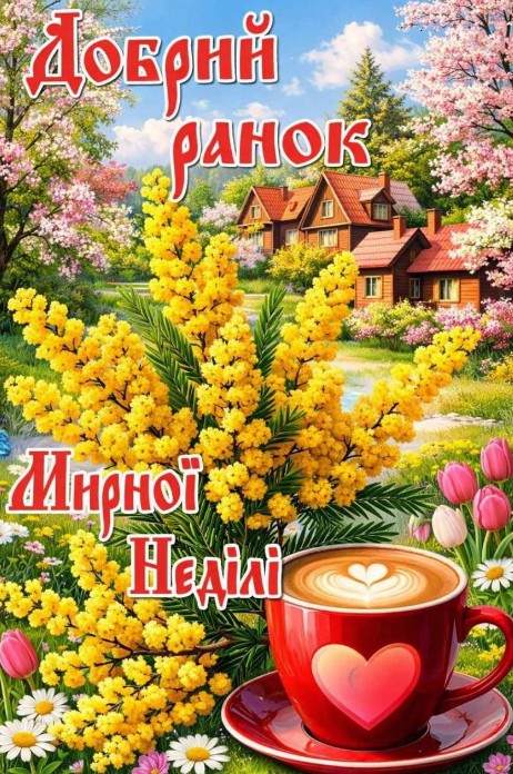 Листівка Доброго ранку та мирної неділі з мімозою та кавою