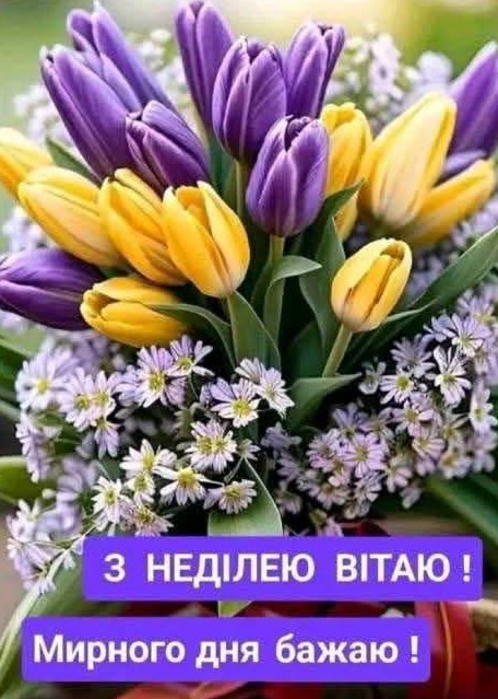 Листівка з побажанням мирної неділі, тюльпани та квіти