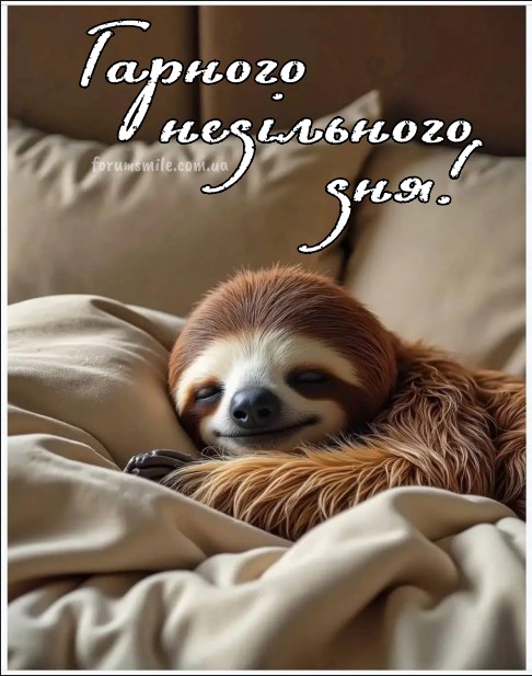 Листівка Гарного недільного дня з милим лінивцем