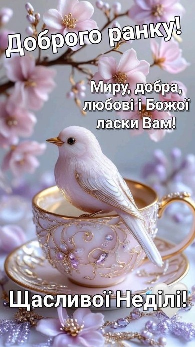 Листівка Доброго ранку, Щасливої неділі