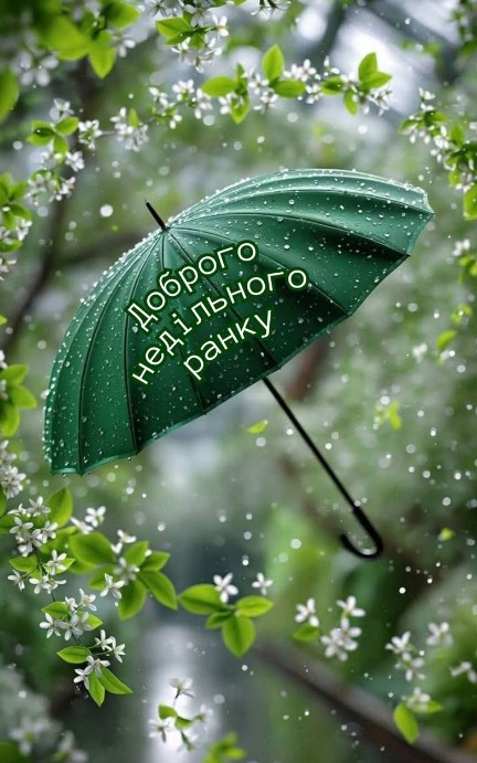 Листівка Доброго недільного ранку: зелена парасолька і квіти