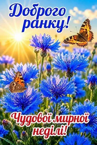 Доброго ранку та мирної неділі 