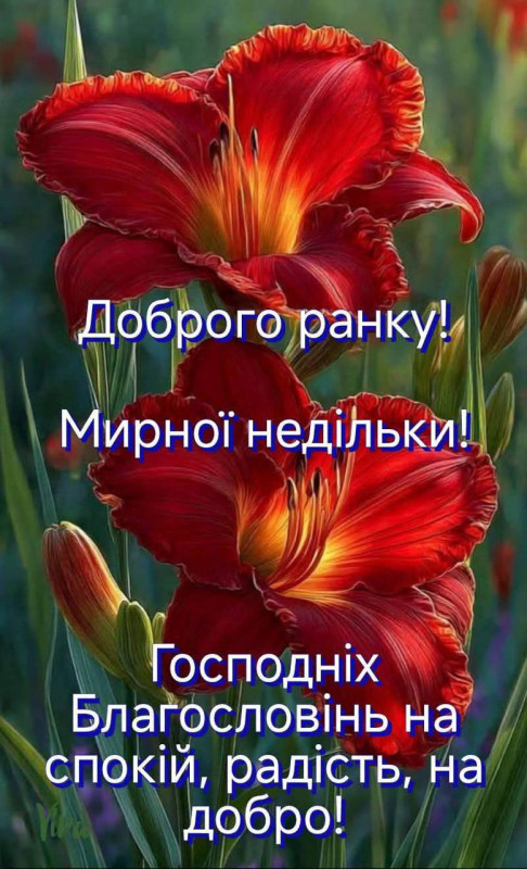 Доброго ранку та мирної неділі  з побажанням миру, спокою та благословення 
