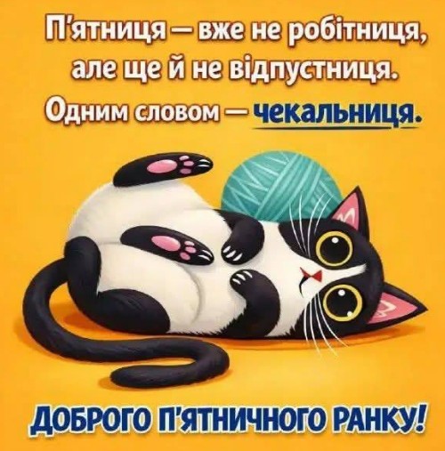 Листівка Доброго п'ятничного ранку з милим котиком