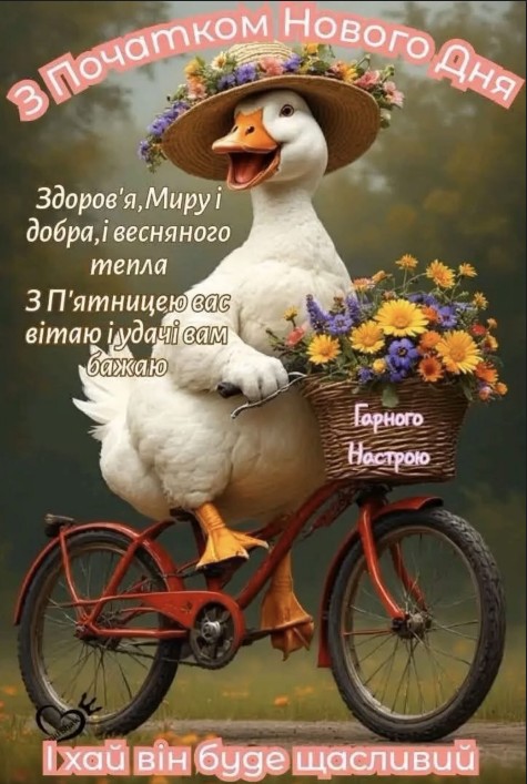 Біле каченя в капелюсі з квітами їде на червоному велосипеді, вітання з п