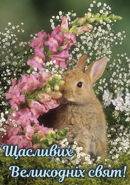 Милий Великодній кролик на фоні рожевих і білих квітів 
