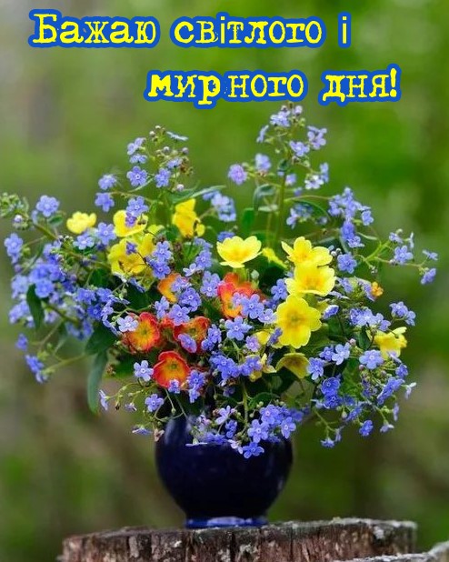 Гарного дня, миру і добра